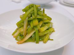 -西郊5号·Maggie 5
