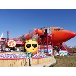 -大美儿童世界(奥林匹克水上公园店)
