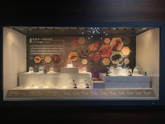 -湖南省地质博物馆