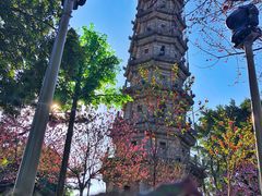 -船政文化景区-罗星塔公园