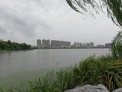 -高子水居