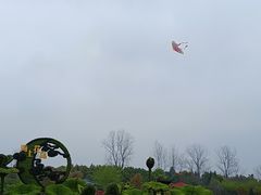 -东平国家森林公园