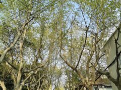 -思南书局·诗歌店