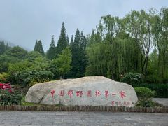 -习家池