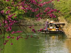 -西溪国家湿地公园