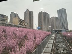 -金海湾滨江公园