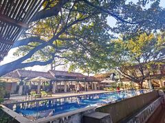 -喜洲吧·江畔老船厂·庭院餐厅(喜临院店)