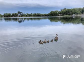 西海湿地公园，悠闲漫步在园间