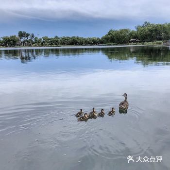 西海湿地公园，悠闲漫步在园间