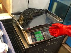 -活鱼馆(宜兴埠店)