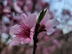 -白塘生态植物园