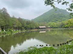 -八卦田遗址公园