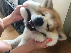 -黑龙江大学