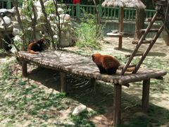 -西安秦岭野生动物园