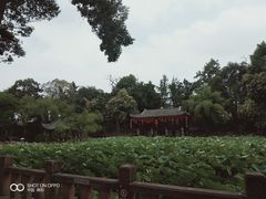 -房湖公园