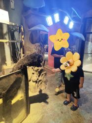 -酷嗒动物文化乐园(cutezoo西溪乐天城店)