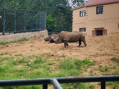 -大连森林动物园