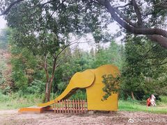 -崇明东平国家森林公园烧烤房车露营地