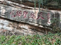 -青城山