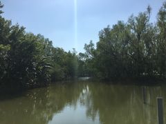 -大湾区中央湿地公园