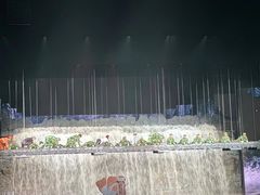 -丽江千古情