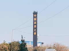 -茯茶镇