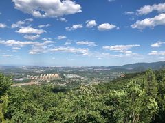 -阳台山自然风景区