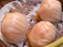 水晶鲜虾饺-顺峰(阜成店)