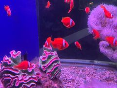 -蓬莱欧乐堡海洋极地世界