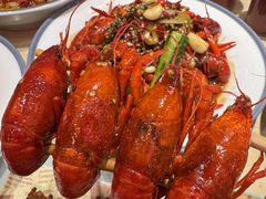 -杨氏青龙虾·羊蝎子(珠江路店)