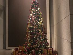 -上海柏悦酒店·世纪100牛排馆