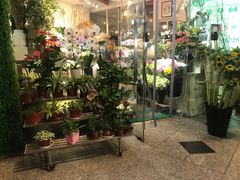 -花草间花行(法华镇路店)