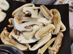 -蘑统田下·野生菌火锅