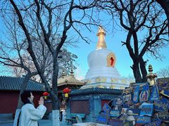 -护国法轮寺