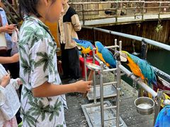 -海南槟榔谷黎苗文化旅游区