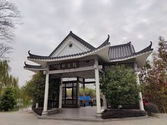 -映月湖公园