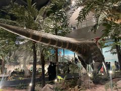 -湖南省地质博物馆