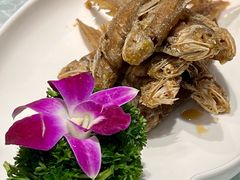 -金米箩大酒店(五角场店)