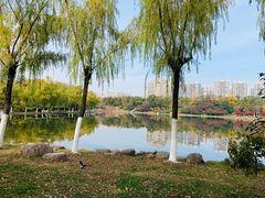 -天鹅湖体育公园