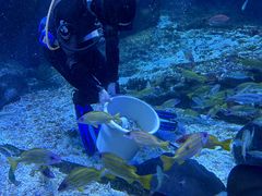 -海合安武汉极地海洋公园