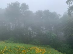 -綦江古剑山