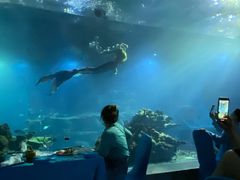 -海棠湾洲际-涛·海底餐厅·美人鱼·自助餐·海底隧道