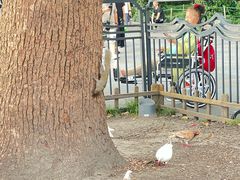 -青竺·青竹茶舍(断桥店)