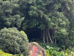 -乌山风景区