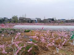 -窦圌山风景区