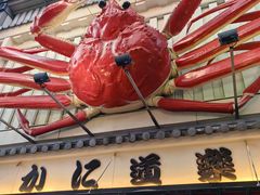 -蟹道乐(道顿堀本店)