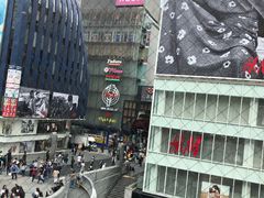 -蟹道乐(道顿堀本店)