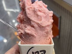 -野人先生现做冰淇淋(西安赛格店)