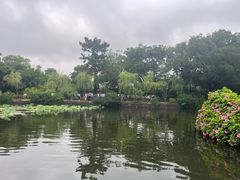 -无锡蠡湖国家湿地公园-蠡园