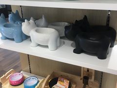 食盆商品-瑞鹏宠物医院·眼科·皮肤·中兽医(大悦城分院)